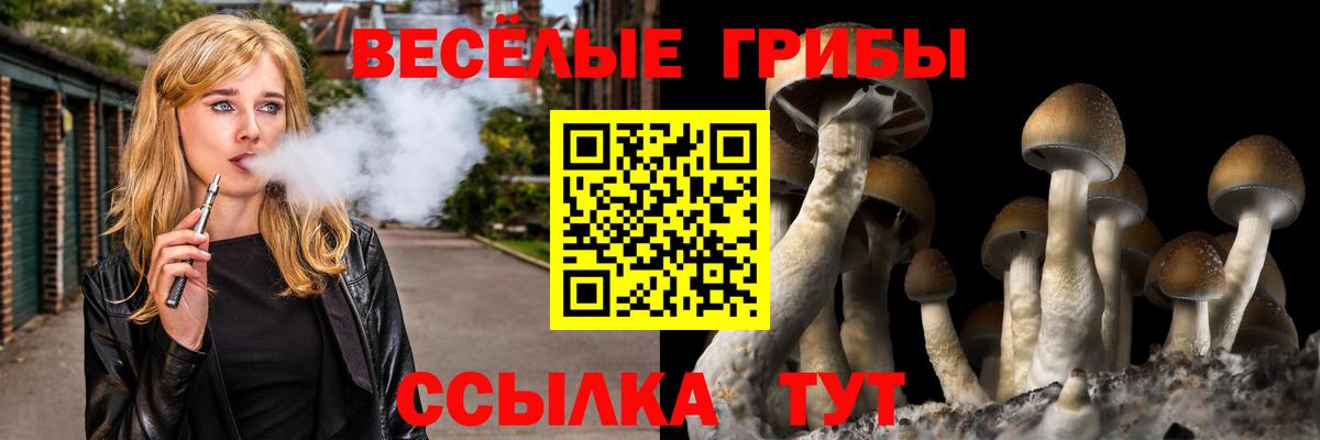 Галлюциногенные грибы Psilocybe  Галлюциногенные грибы мицелий  Вход с VPN  Воскресенск 