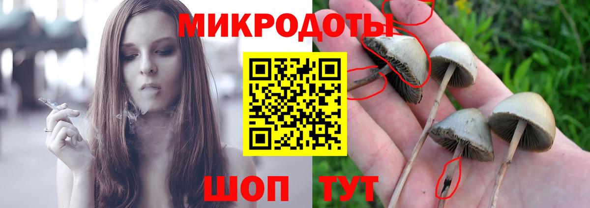 Псилоцибиновые грибы Psilocybe Воскресенск